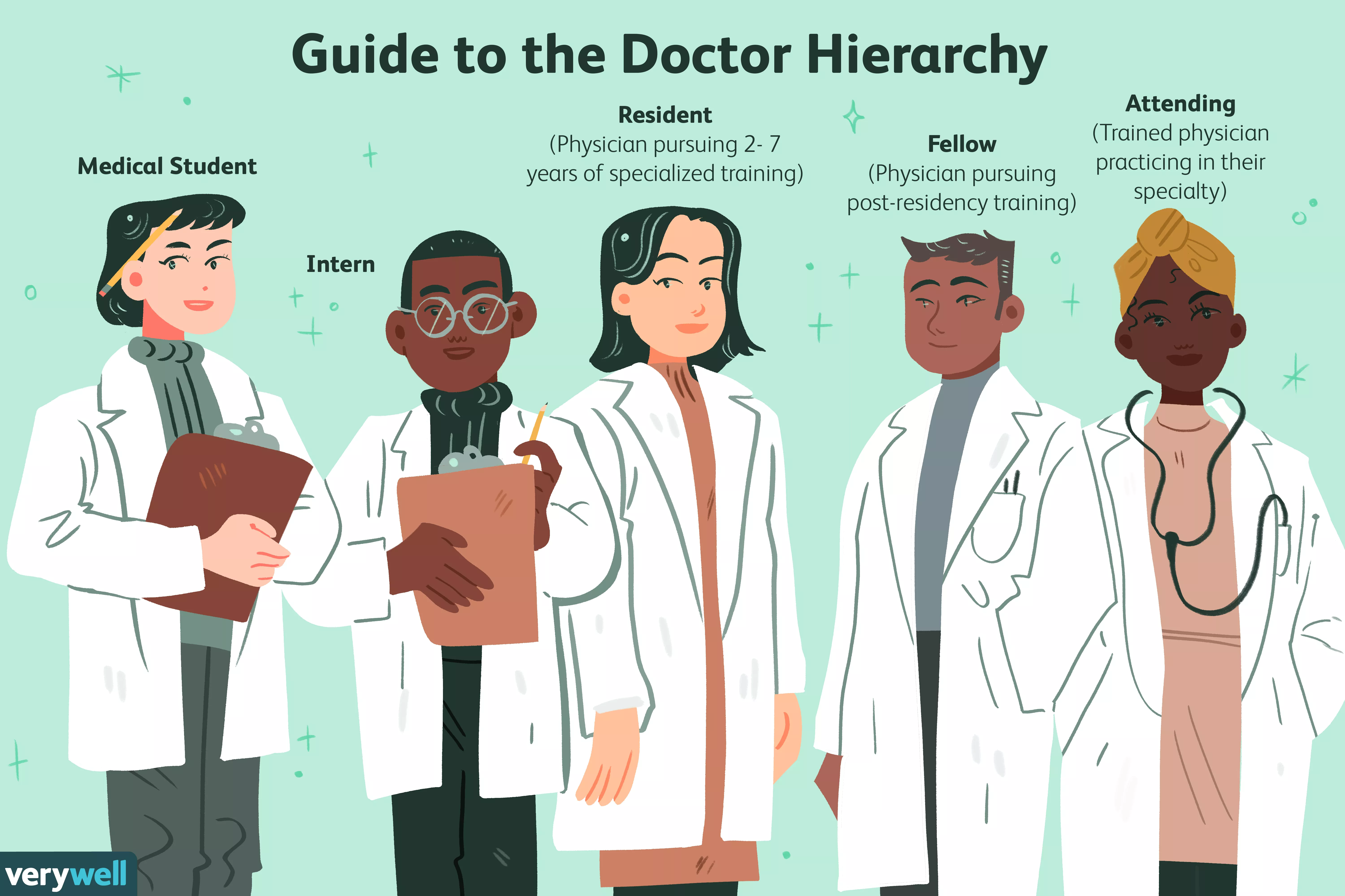 Guide to the Doctor Hierarchy